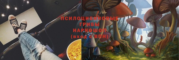 гашик Михайловск