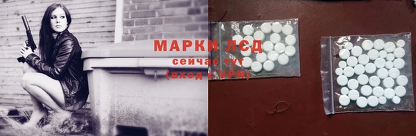 гашик Михайловск