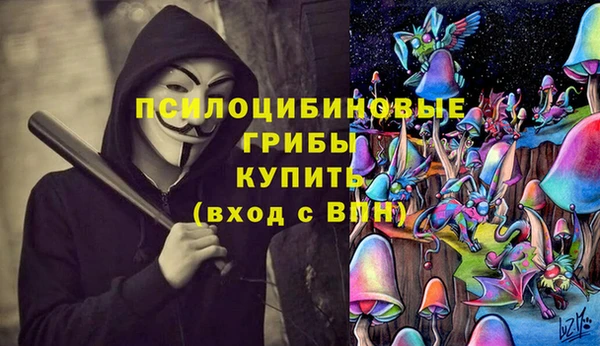 прущая мука Вязники