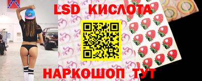гидра Будённовск