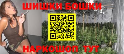 гидра Будённовск