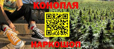гидра Будённовск