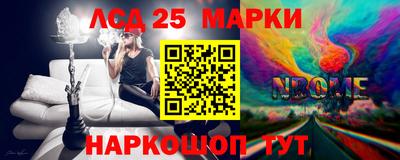 гидра Будённовск