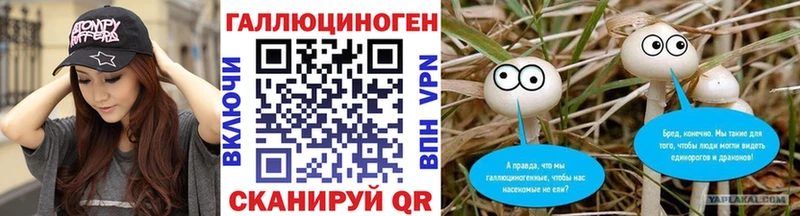 закладка  Дедовск  Псилоцибиновые грибы ЛСД 